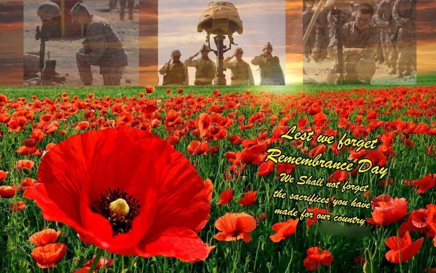Honor and remember those who have made the ultimate sacrifice