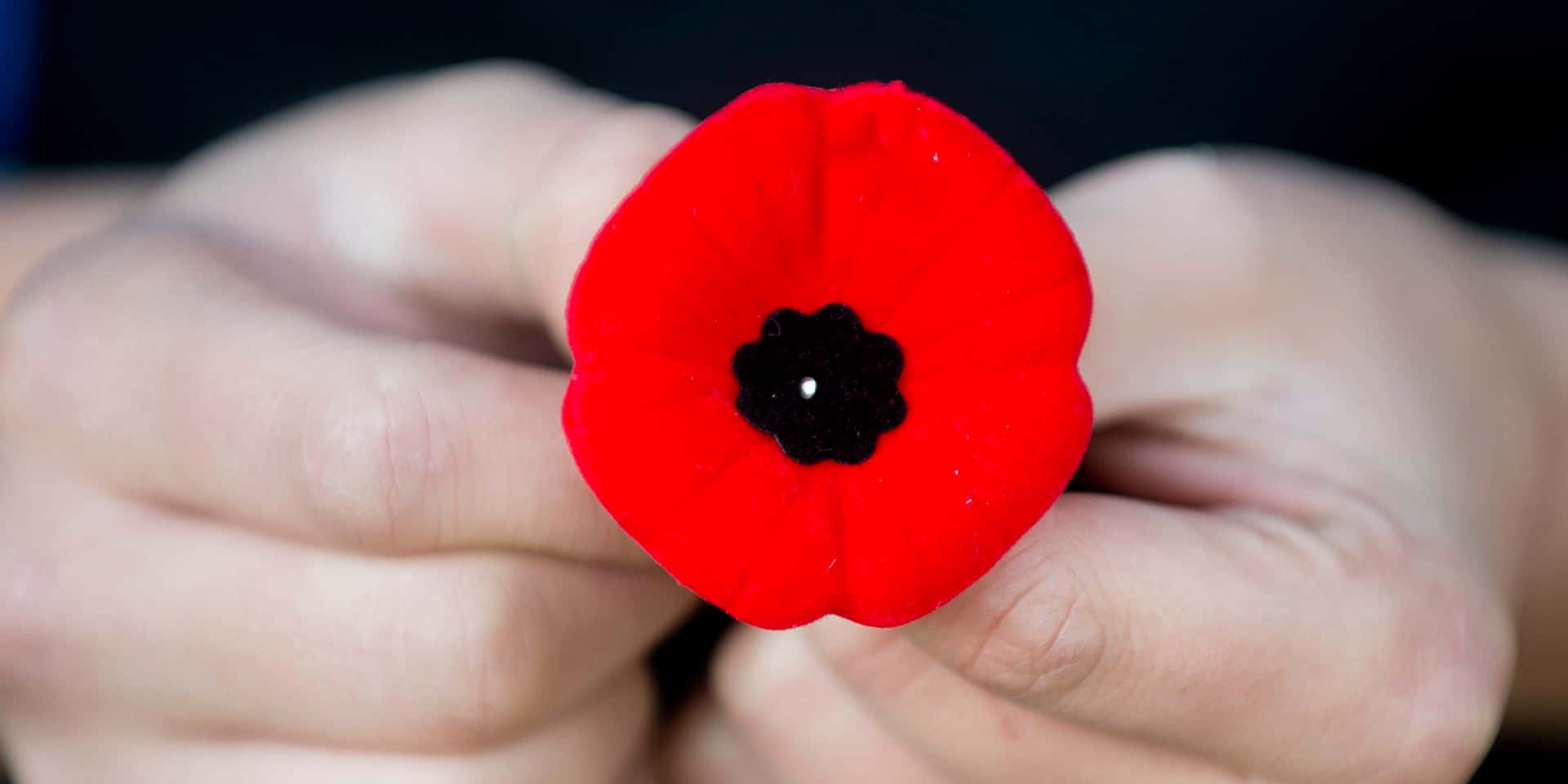 Remember the heroes who served on Remembrance Day