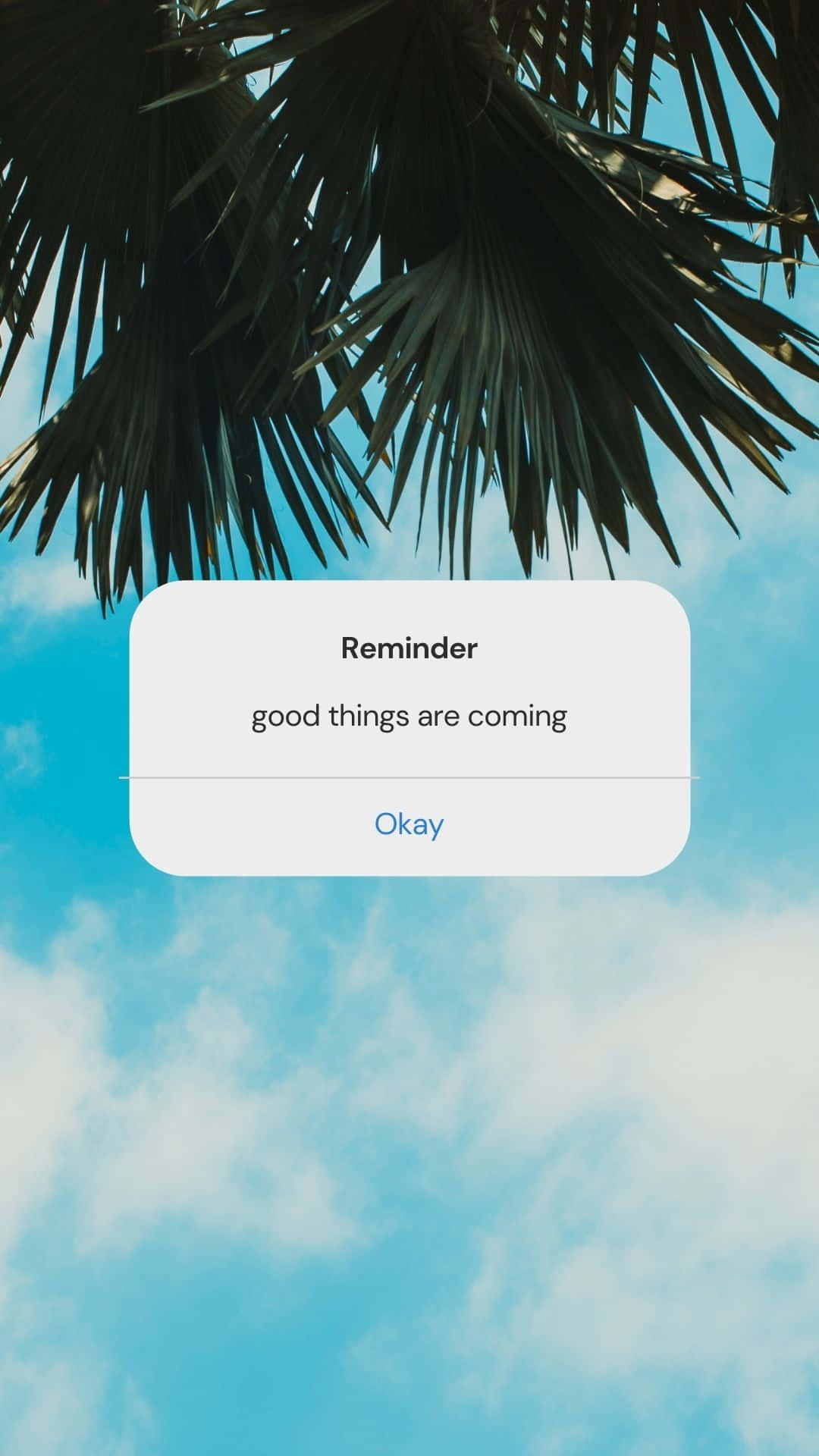 Keep your tasks and goals organized with reminders
