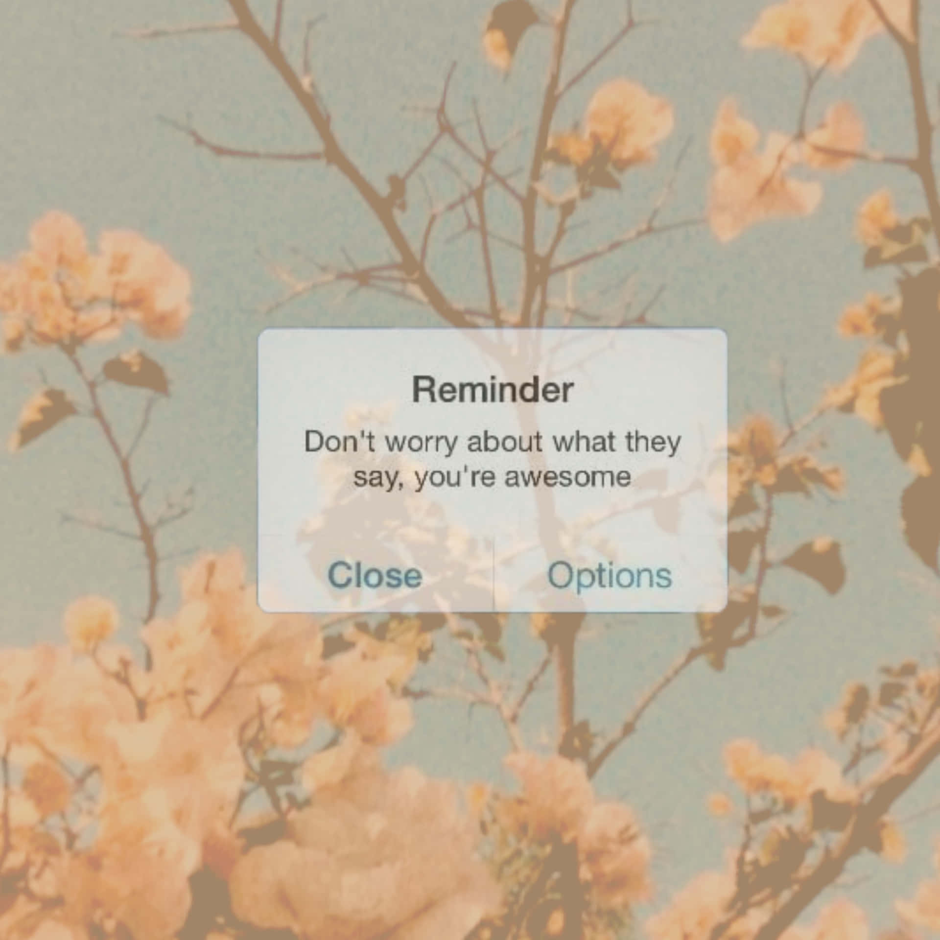 A Reminder App With Flowers On It