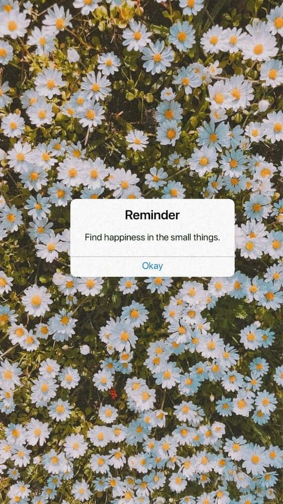 A Photo Of Flowers With The Text Reminder Find Happiness In The Small Things