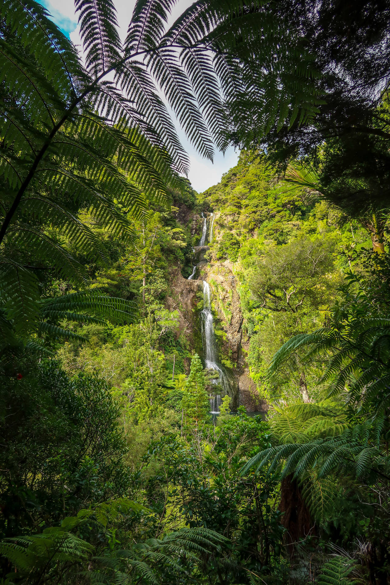 A breathtaking view of a remote waterfalls in a lush jungle Wallpaper