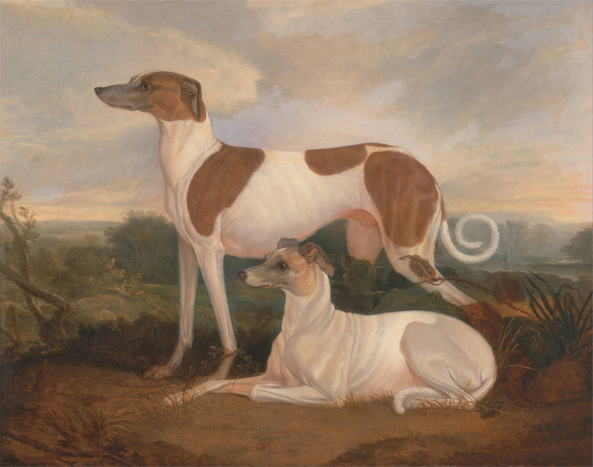 Renaissancegreyhounds Målning. Wallpaper