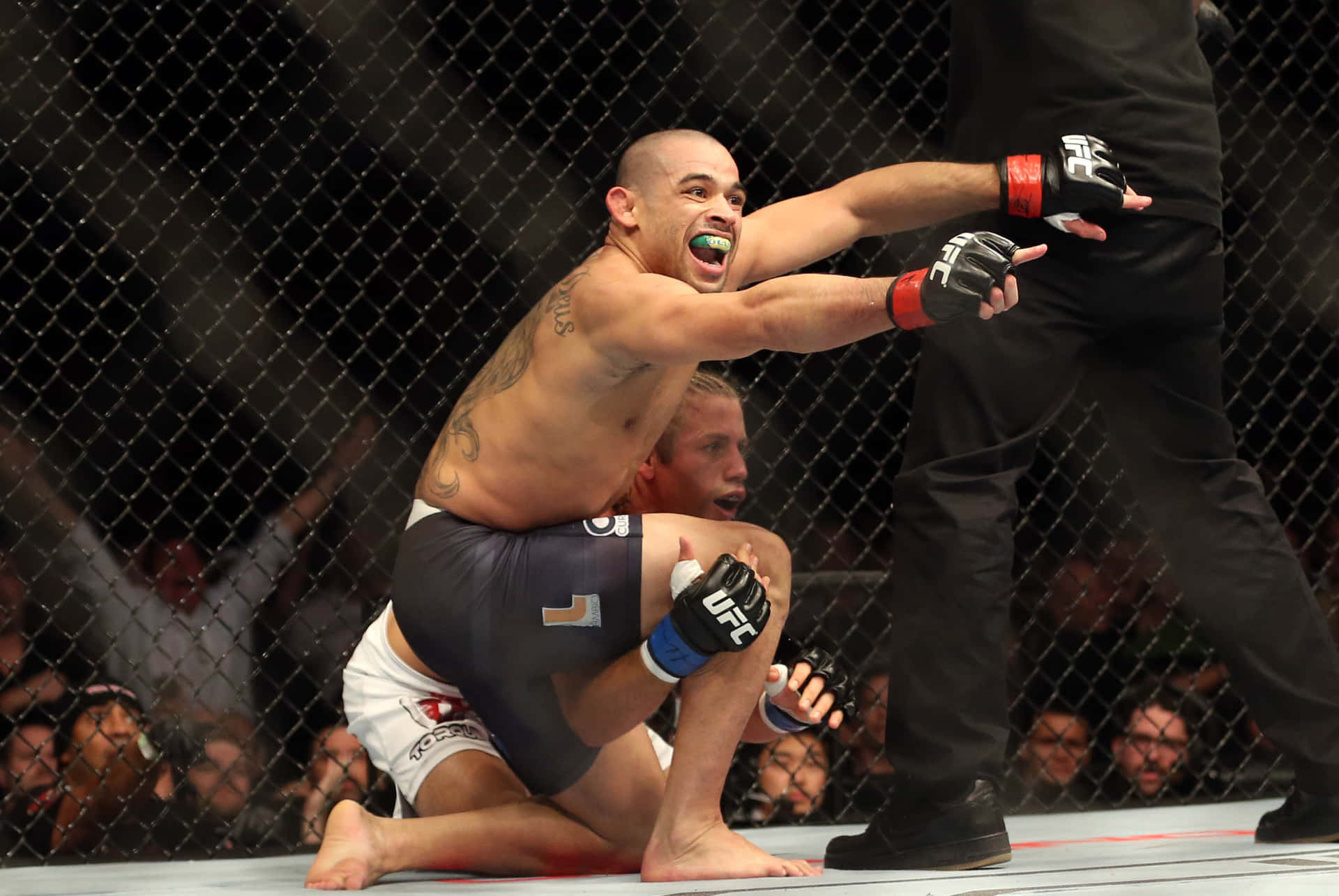 Renan Barão Against Dillashaw UFC 173 Wallpaper