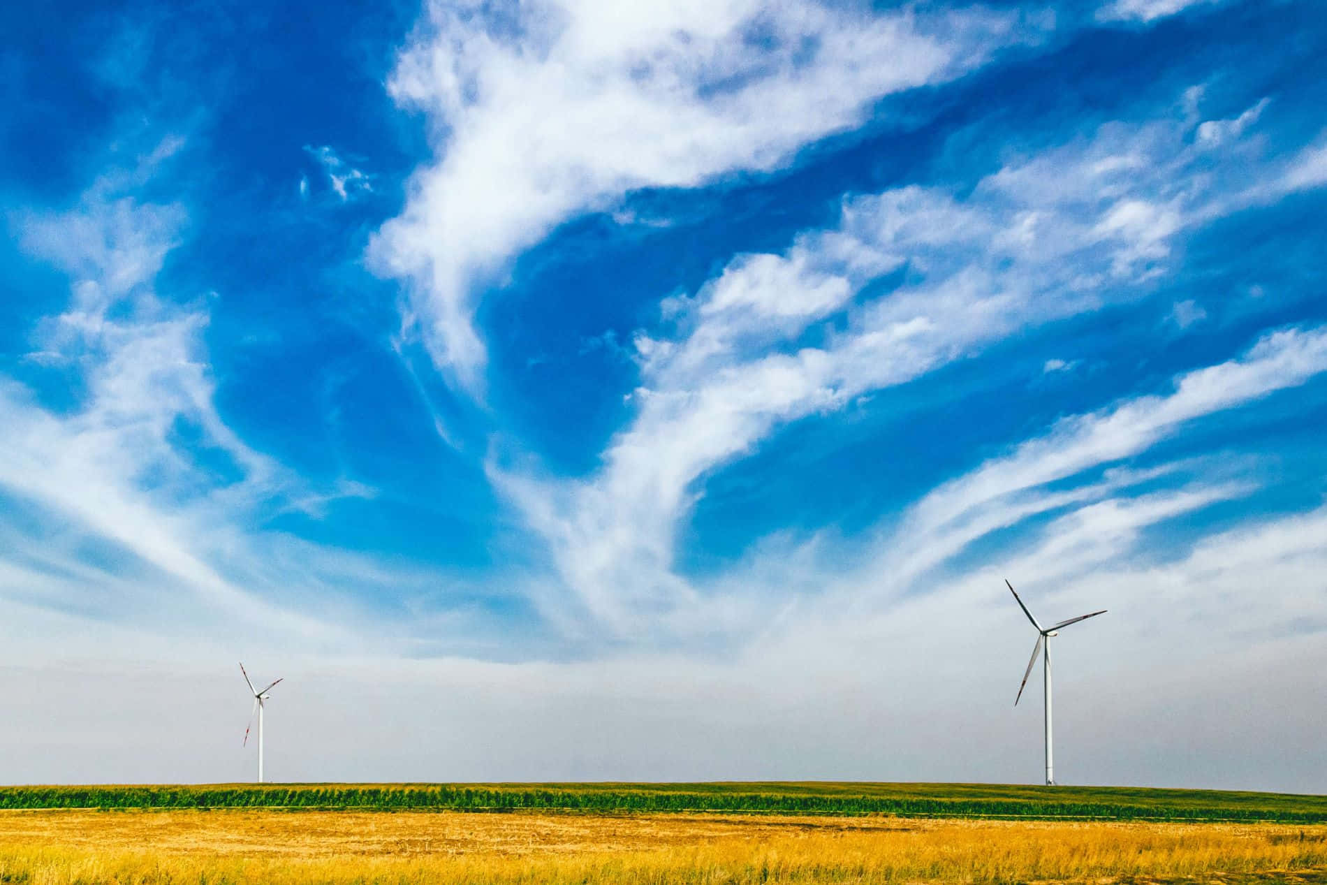 Wind turbines and solar panels generating renewable energy Wallpaper