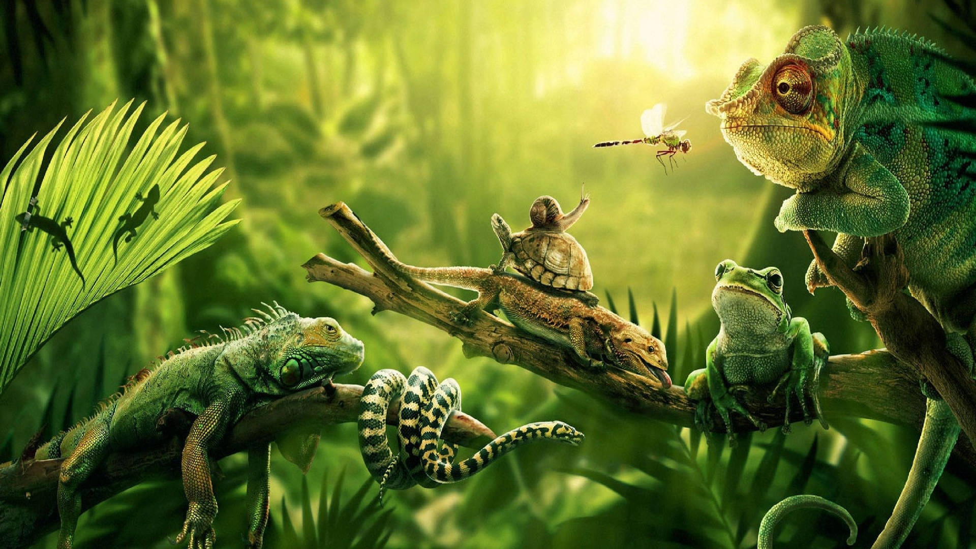 Reptiler fra Junglen skaber et interessant bagtæppe. Wallpaper