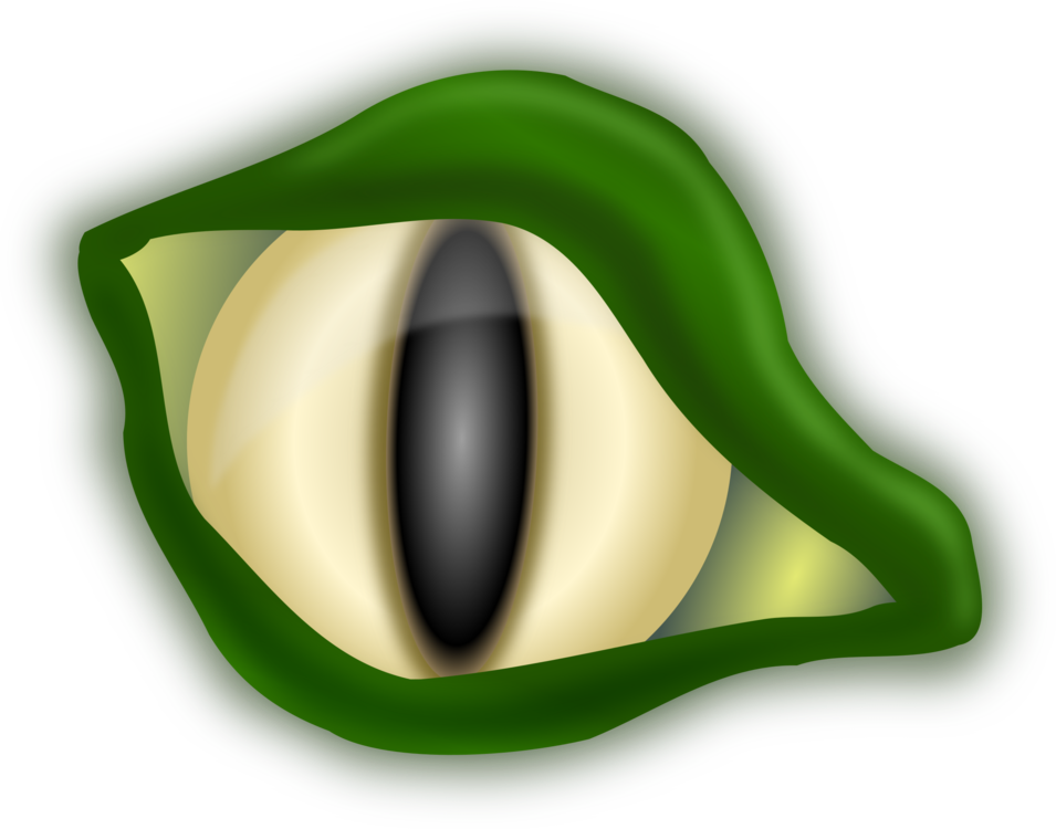 Reptilian_ Eye_ Closeup PNG