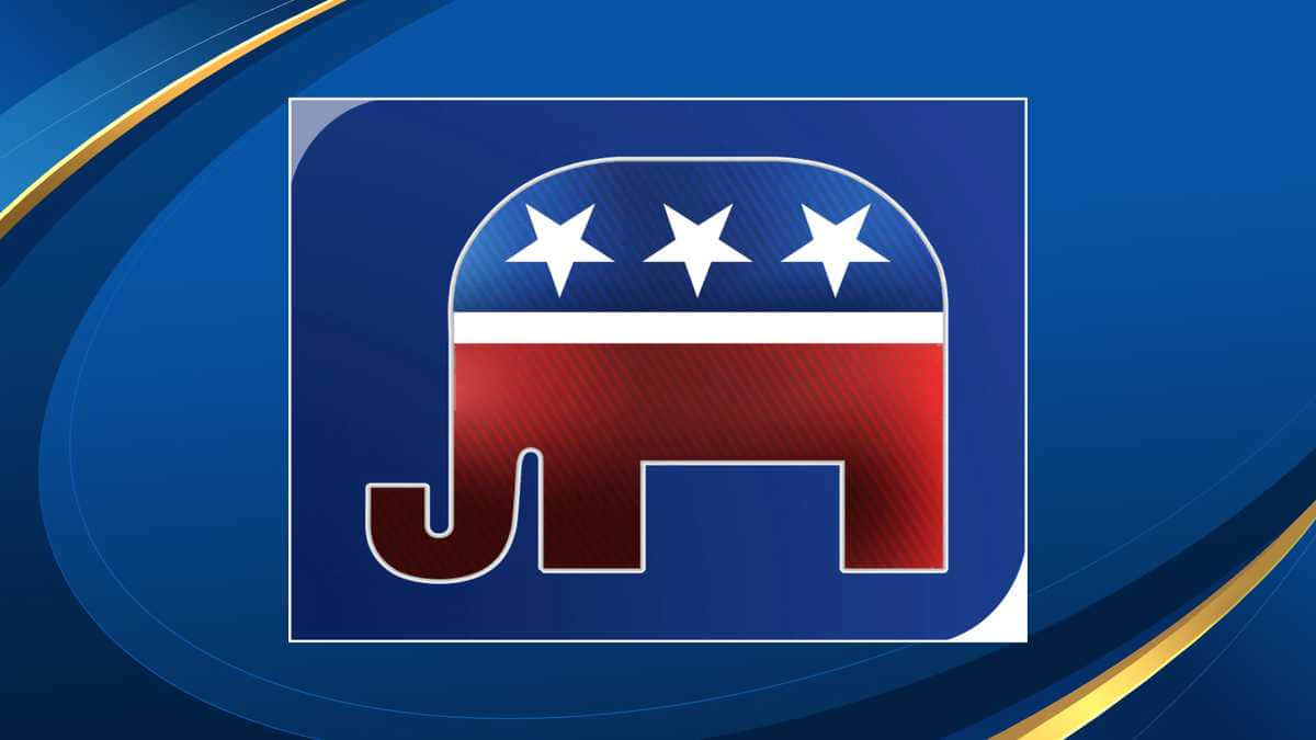 Republican Elephant Inside A Rectangle Wallpaper