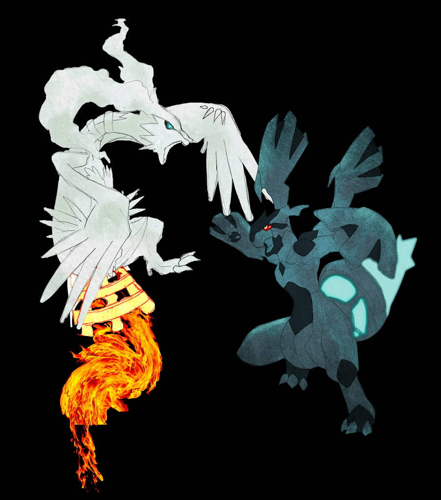 Download Reshiram, Rayquaza, And Kyurem Fusion Wallpaper