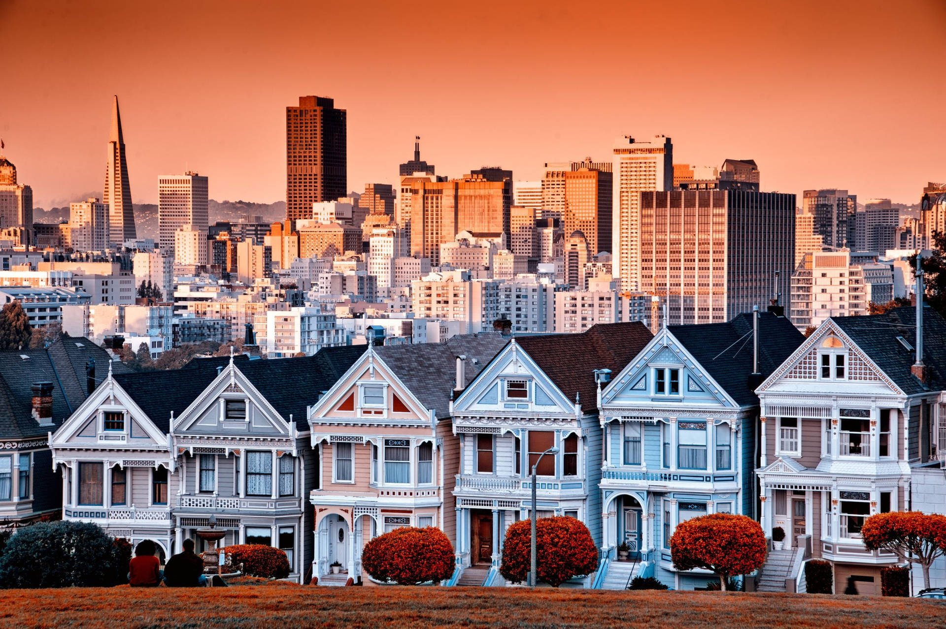 Residential San Francisco Skyline Wallpaper