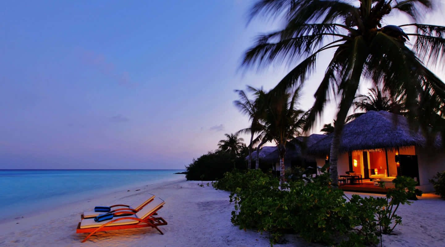 Resort Beach Relaxing Huts Night Time Picture