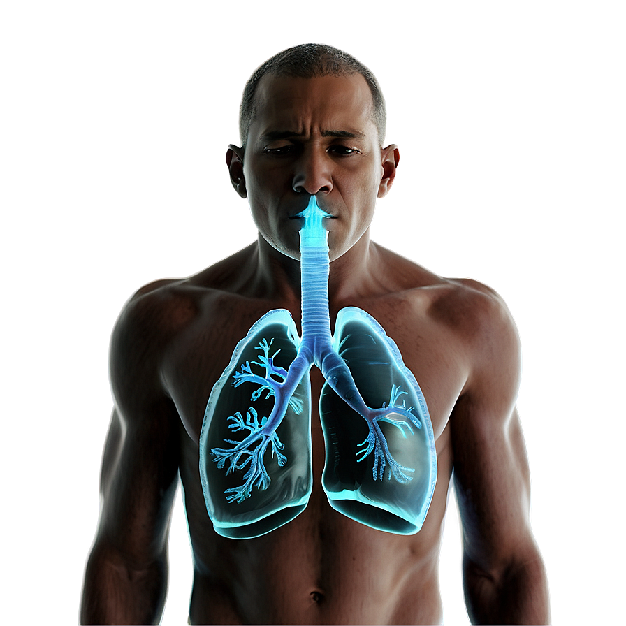 Respiratory Diseases Explained Png 06132024 PNG