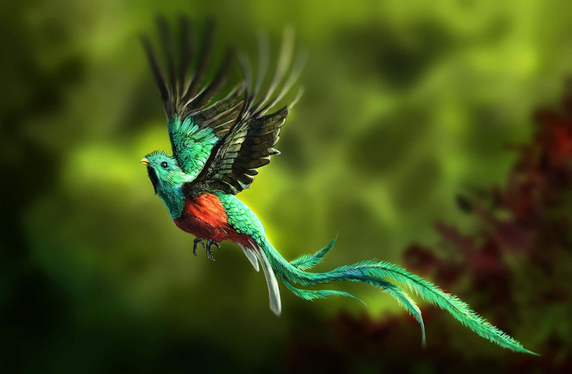 Resplendent Quetzal In Flight.jpg Wallpaper