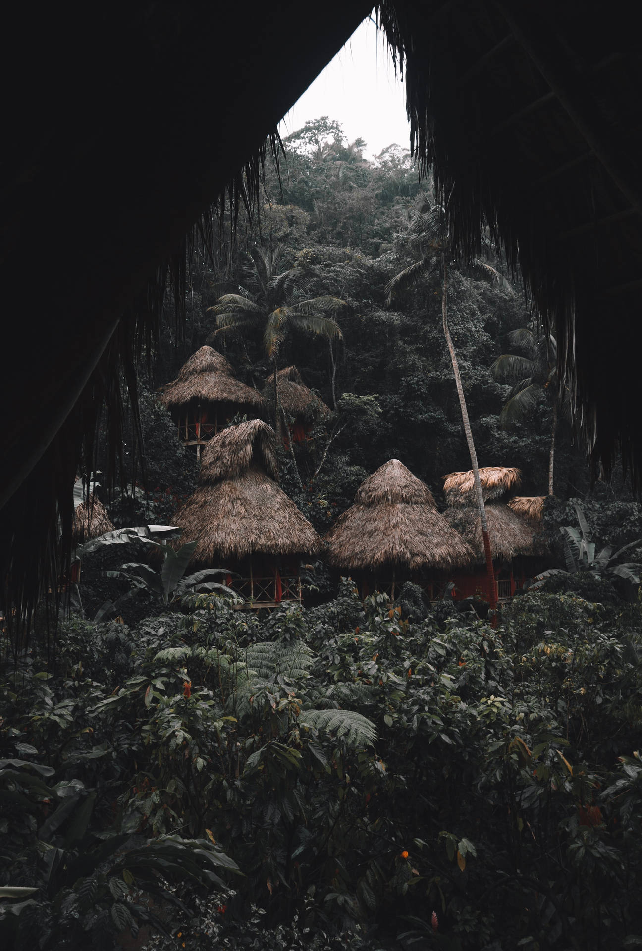 Casa Di Riposo Nella Foresta Pluviale Sfondo