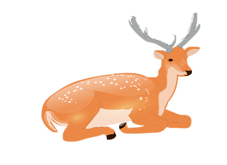 Resting Deer Illustration PNG