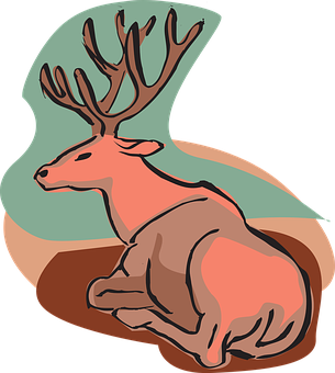 Resting Deer Illustration.png PNG