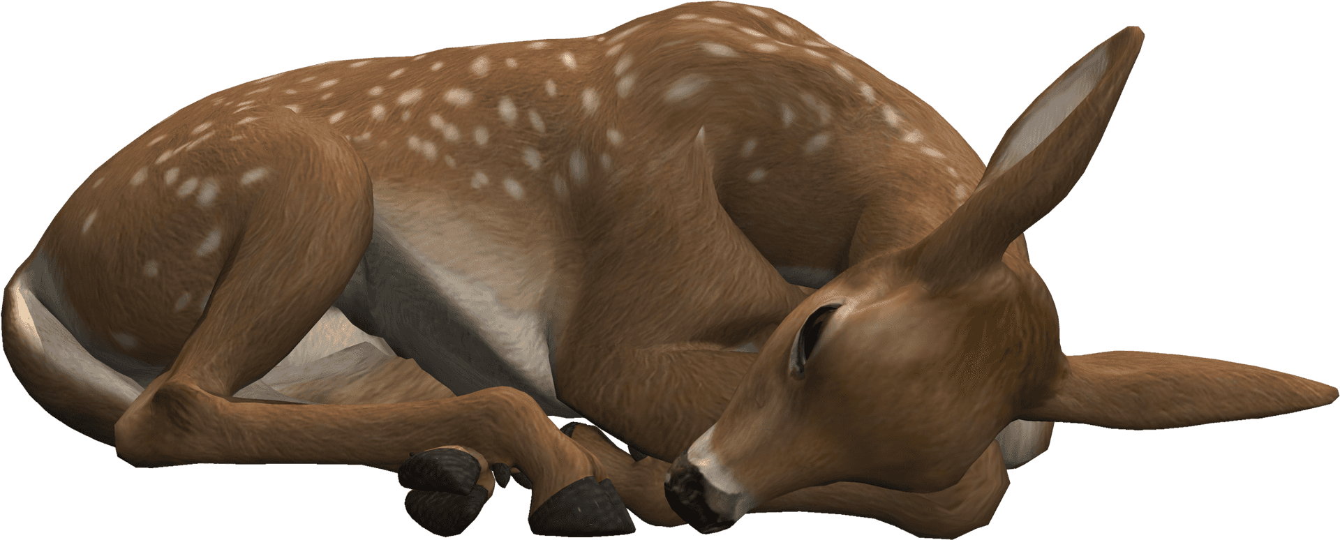 Resting Fawn3 D Model.png PNG
