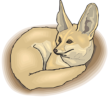 Resting Fennec Fox Illustration PNG
