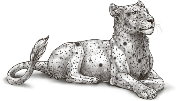 Resting Lioness Illustration PNG