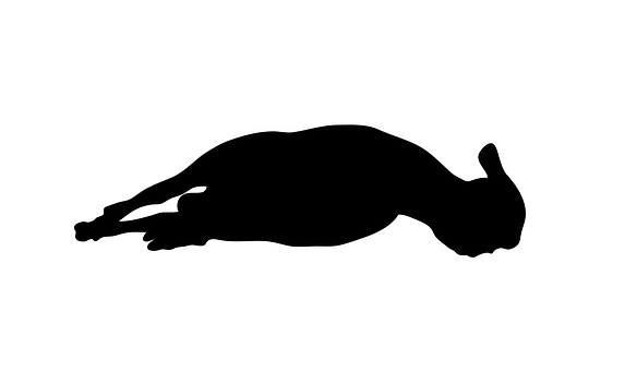 Resting Sheep Silhouette PNG