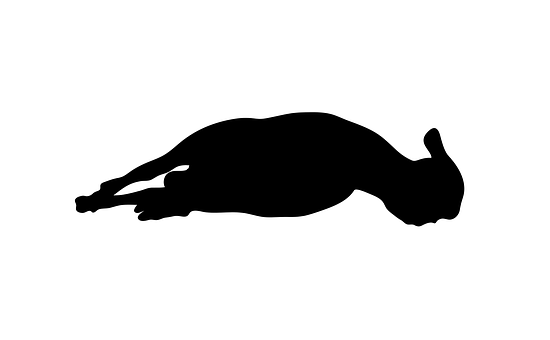 Resting Sheep Silhouette.jpg PNG