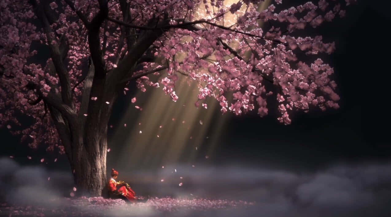 Restless Girl Under A Sakura Tree Wallpaper