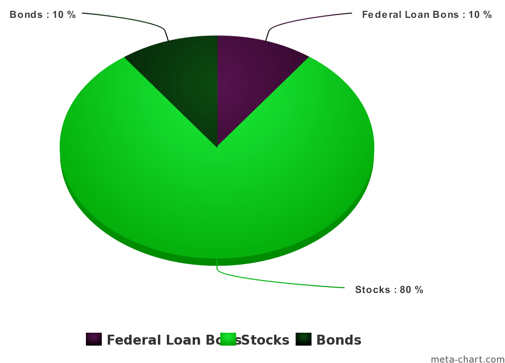 Retirement Investment Portfolio Distribution Pie Chart PNG