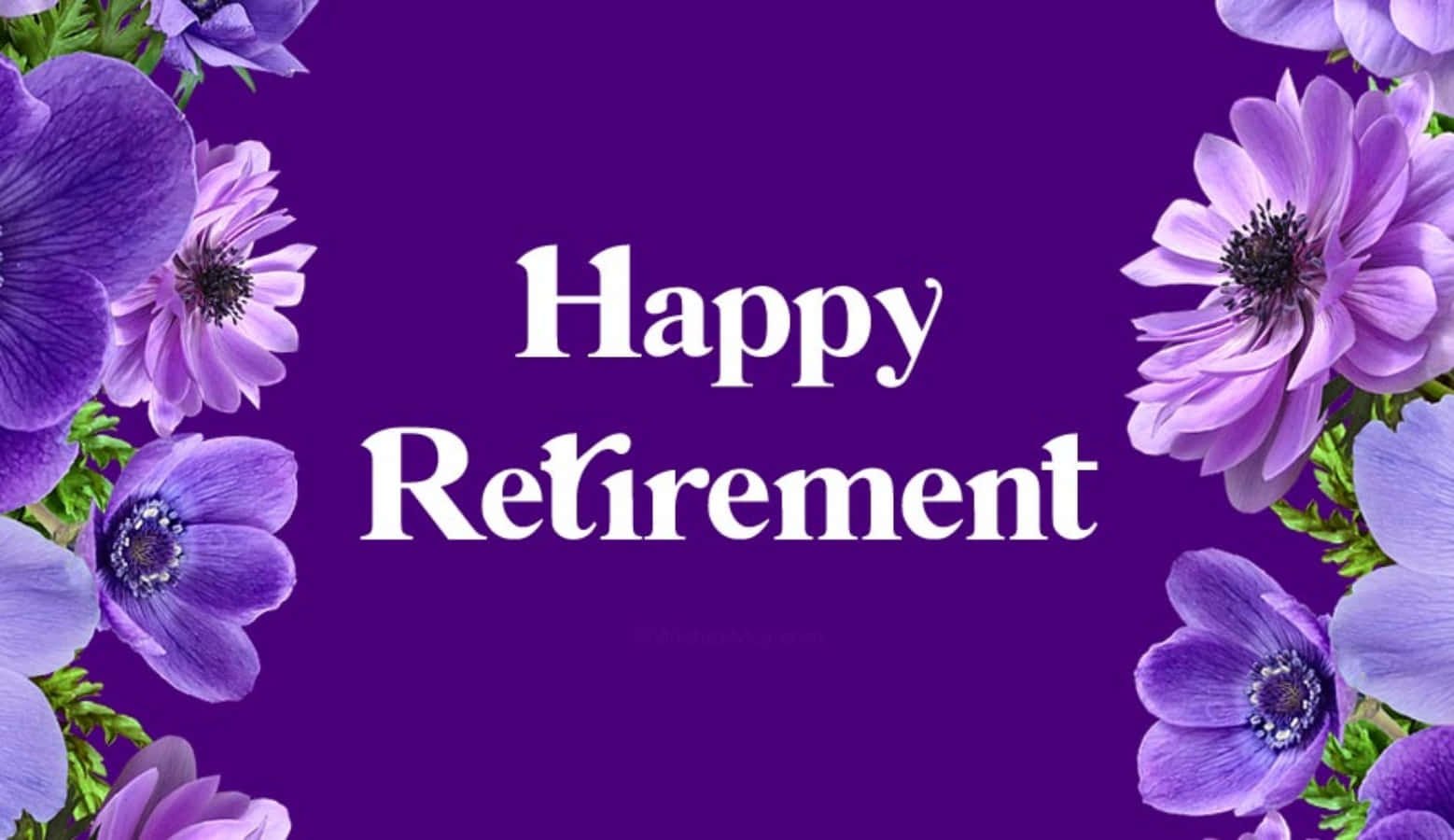 Retirement is here! Welcome the Next Chapter