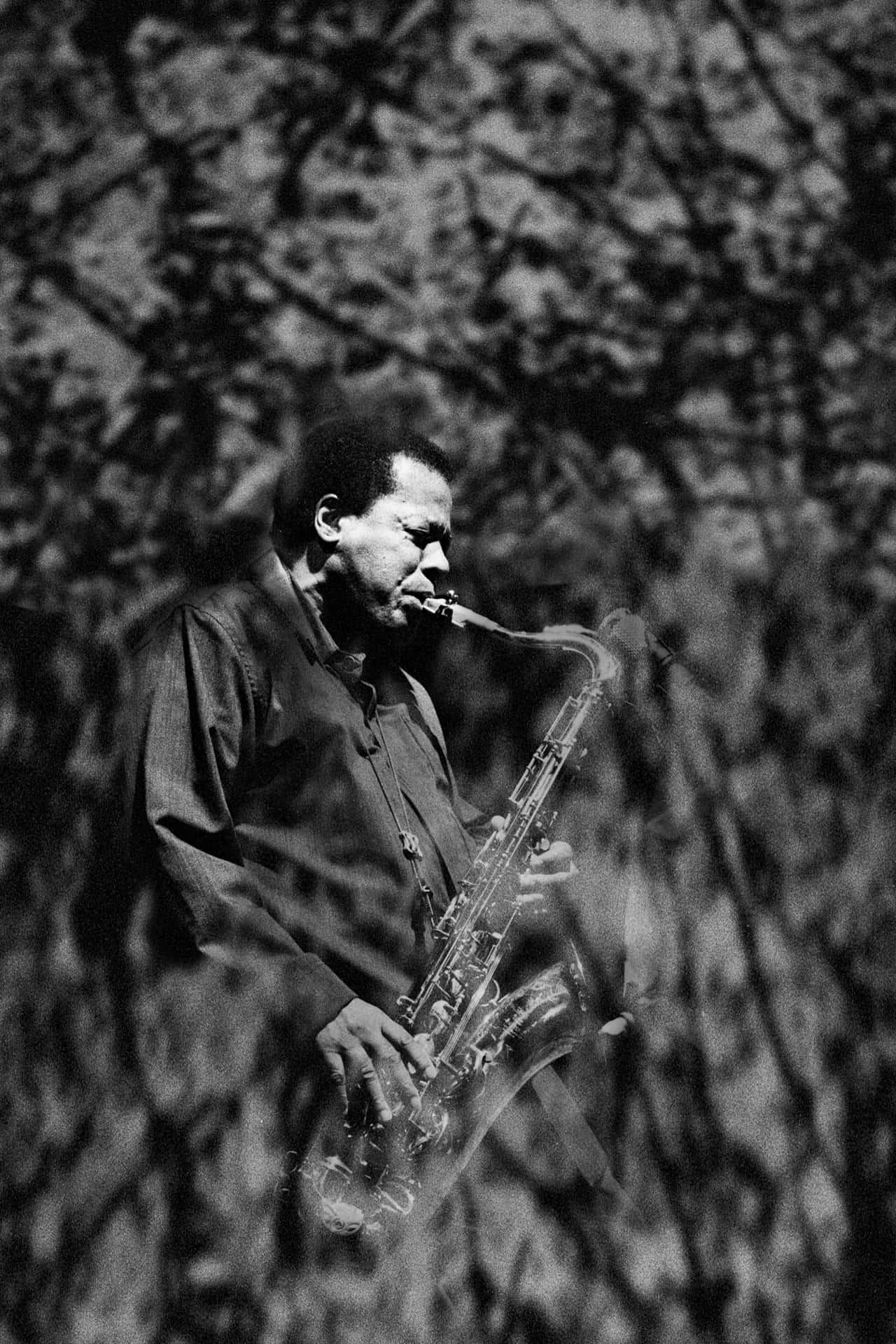Retratodel Legendario Músico De Jazz Wayne Shorter Fondo de pantalla