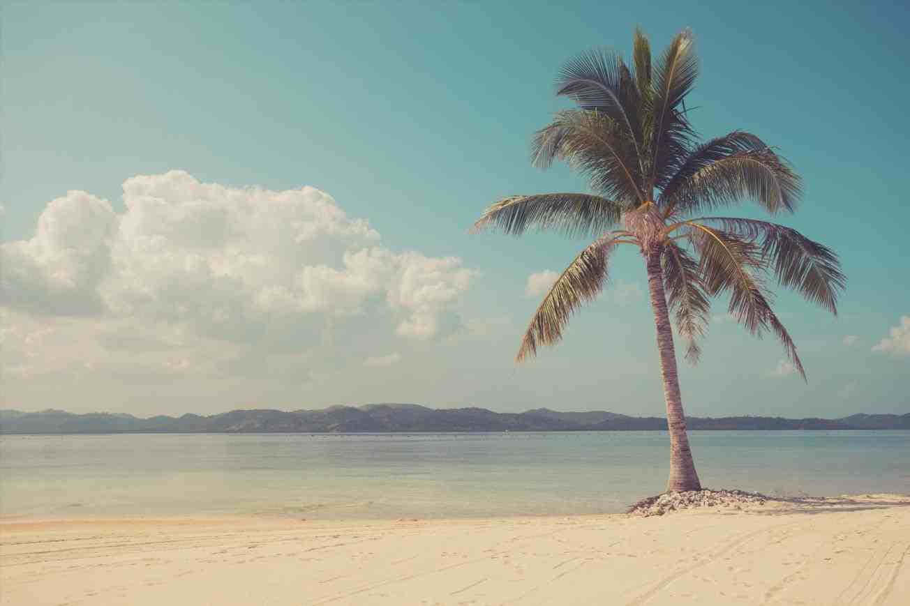 Disfrutade La Vida Y Diviértete Bajo El Sol En La Playa Retro. Fondo de pantalla