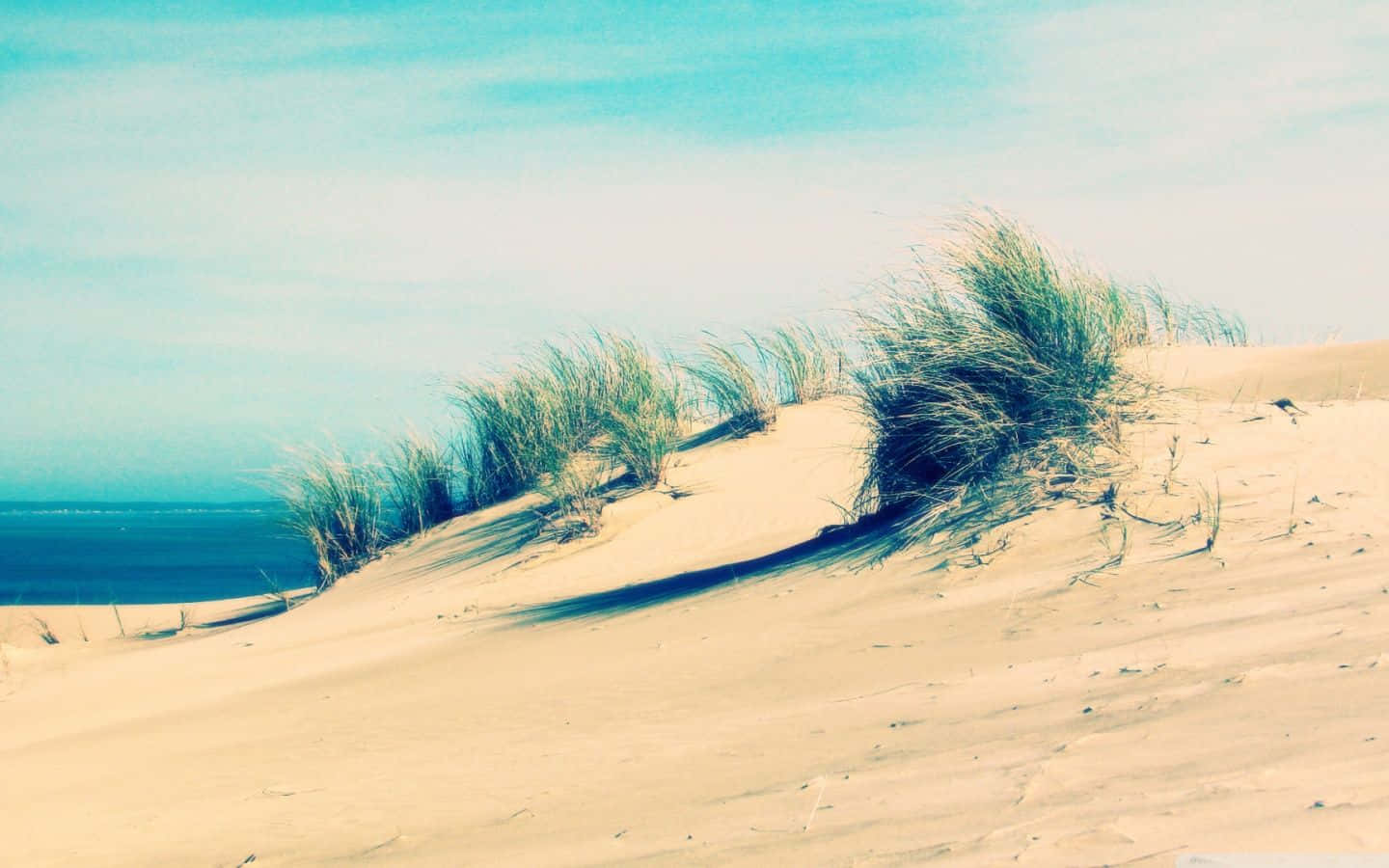 A Sand Dune With Grass On It Wallpaper