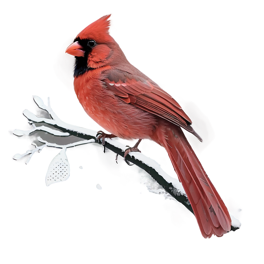 Retro Cardinal Poster Png Iun PNG