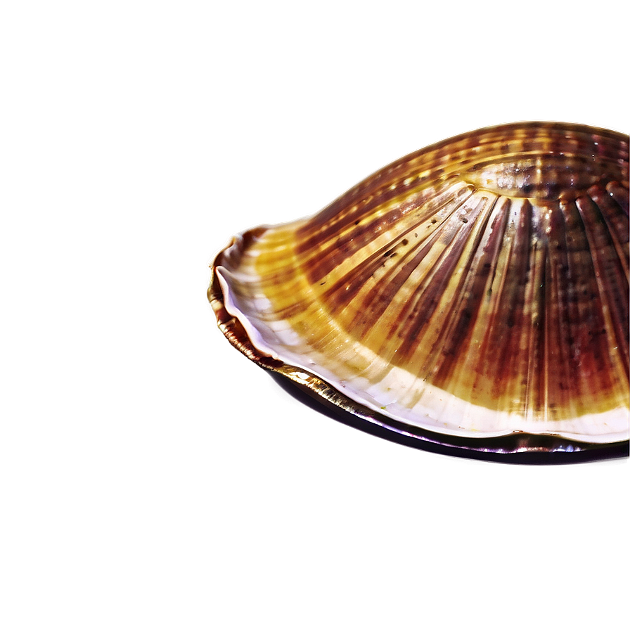 Retro Clam Poster Design Png Vhd PNG