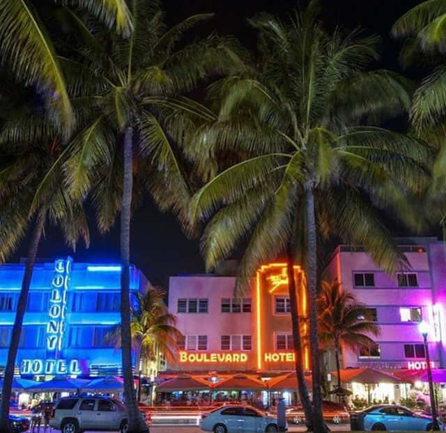 Nyd de lyse farver og livlige atmosfære af Retro Miami. Wallpaper