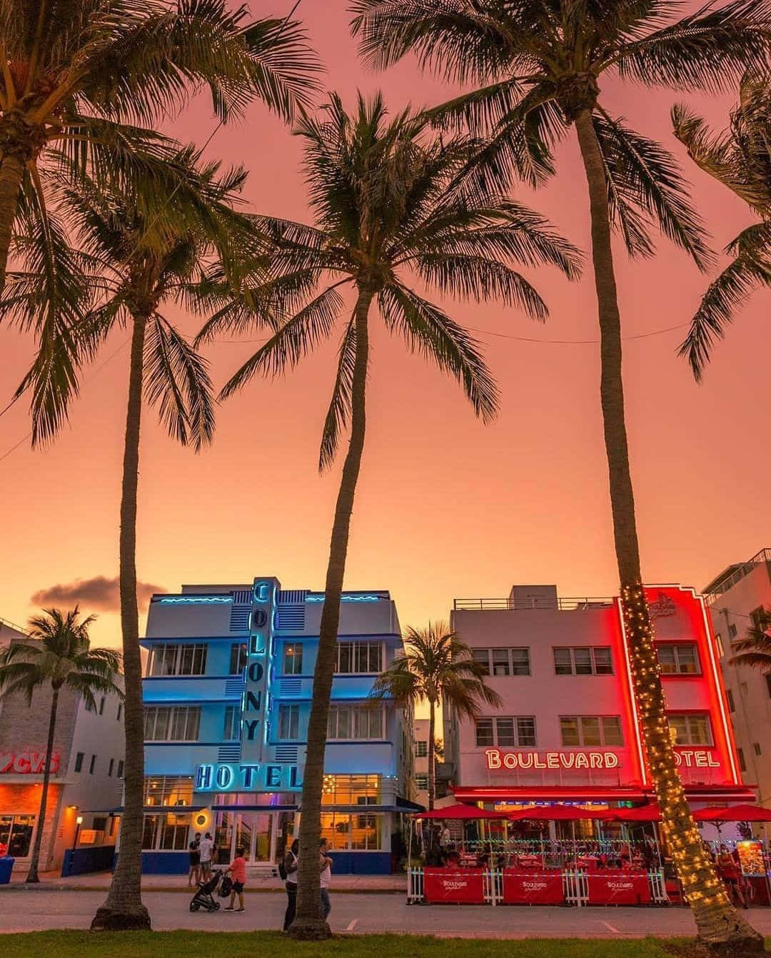 Colorful neon cityscape of Miami, Florida at night Wallpaper