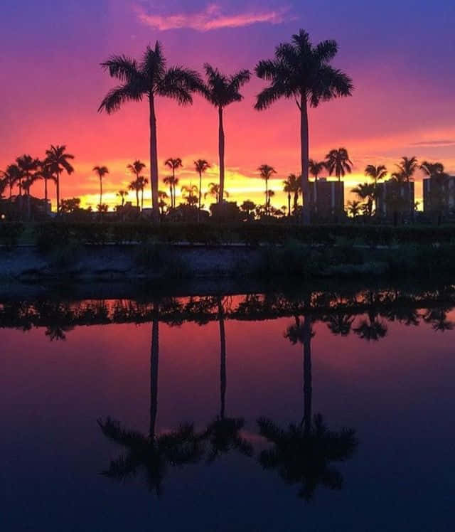 Tómateun Descanso Del Sol En El Lugar Más Genial De Miami Retro. Fondo de pantalla