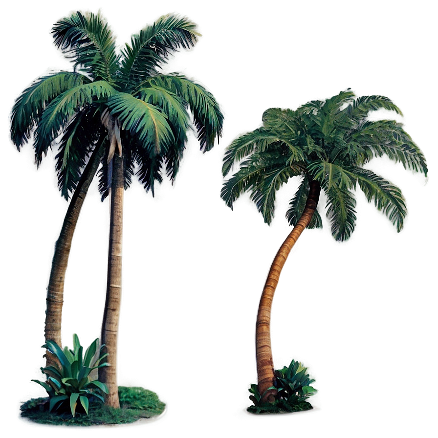 Retro Palm Trees Png 05042024 PNG