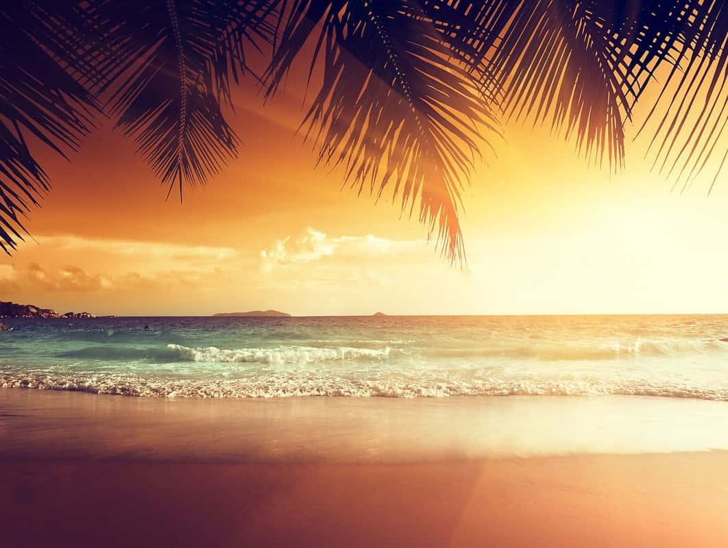 Retro Summer Beach Sunset Wallpaper