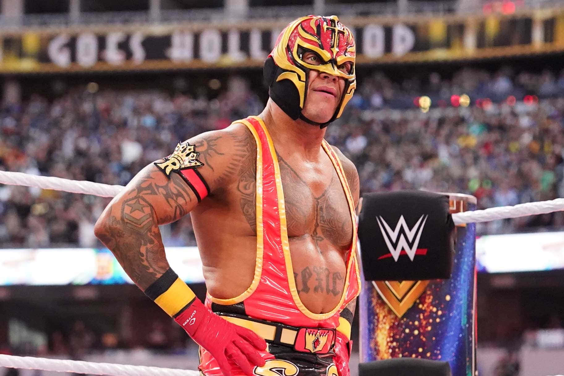 Rey_ Mysterio_ W W E_ Ring_ Appearance Wallpaper