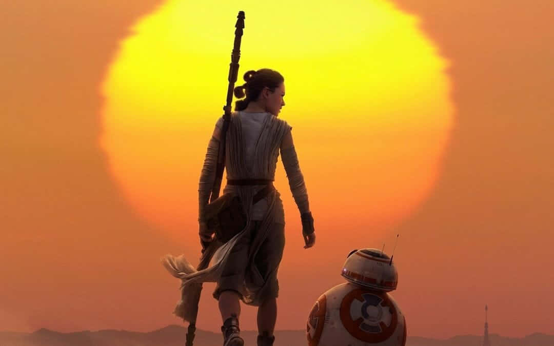 Bildav Rey Från Star Wars-serien. Wallpaper