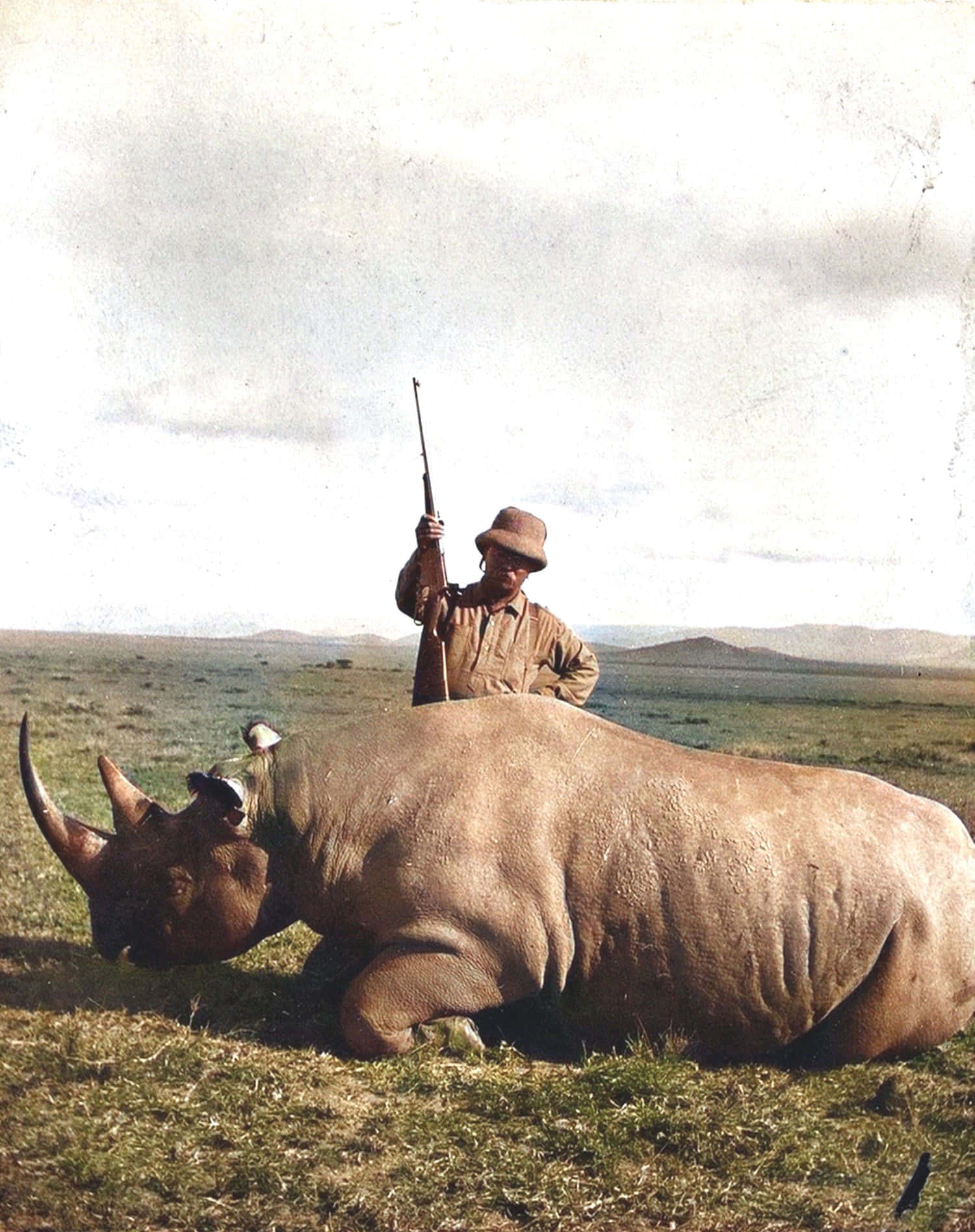 A rhino peacefully standing in the middle of a grassy plain.