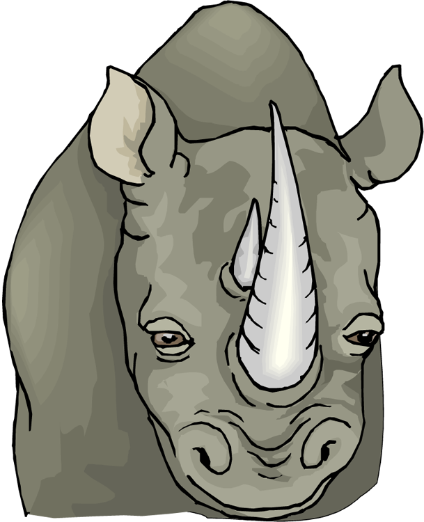Rhinoceros Portrait Illustration PNG