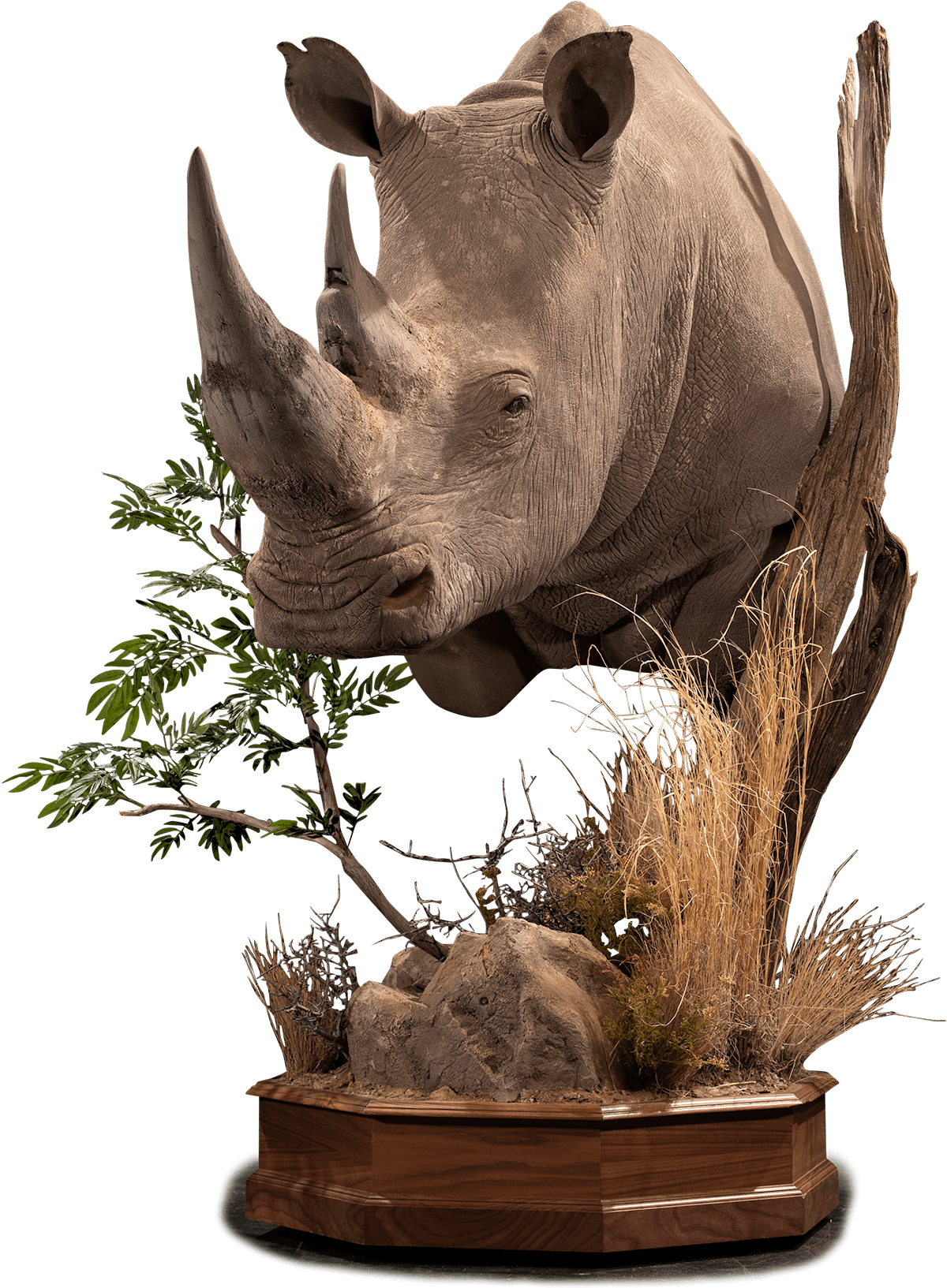 Rhinoceros Sculpture Art Piece PNG