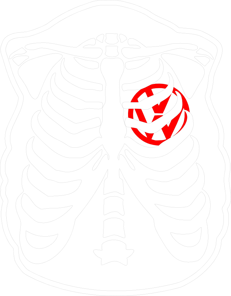 Ribcage Womb Illustration PNG