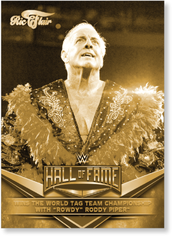 Download Ric Flair W W E Hallof Fame Portrait | Wallpapers.com