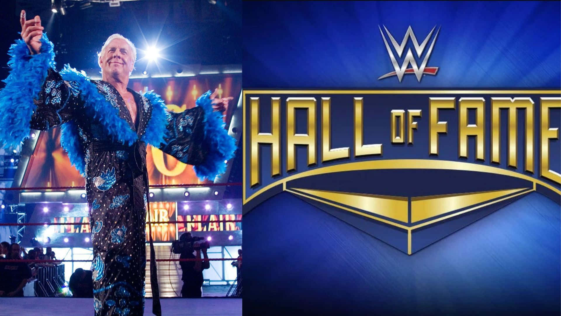 Ric Flair WWE Hall Of Fame klistermærke. Wallpaper