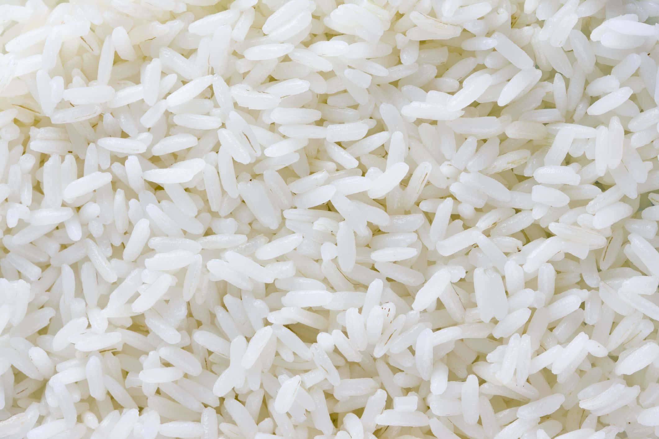 Rice Background