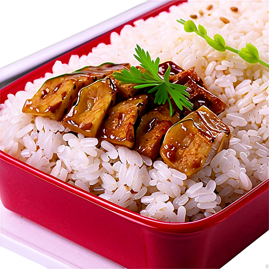 Rice Bento Png 05242024 PNG