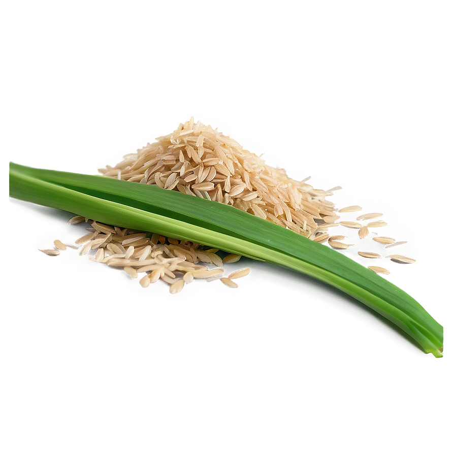 Rice Bran Png 31 PNG