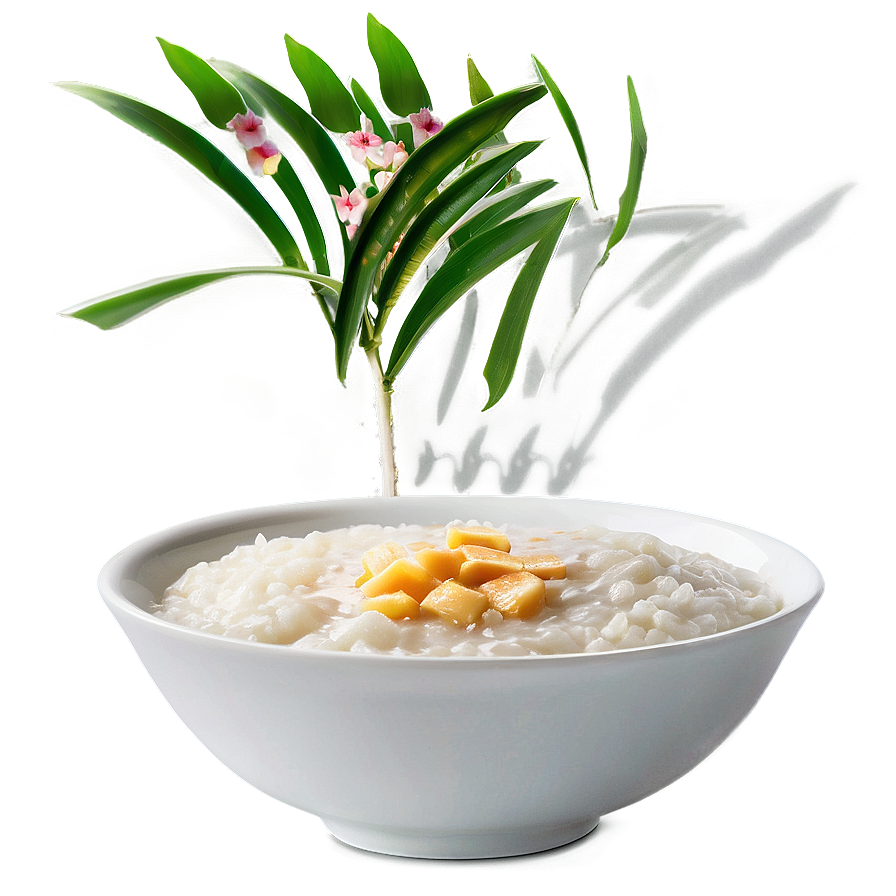 Rice Porridge Png Pua31 PNG